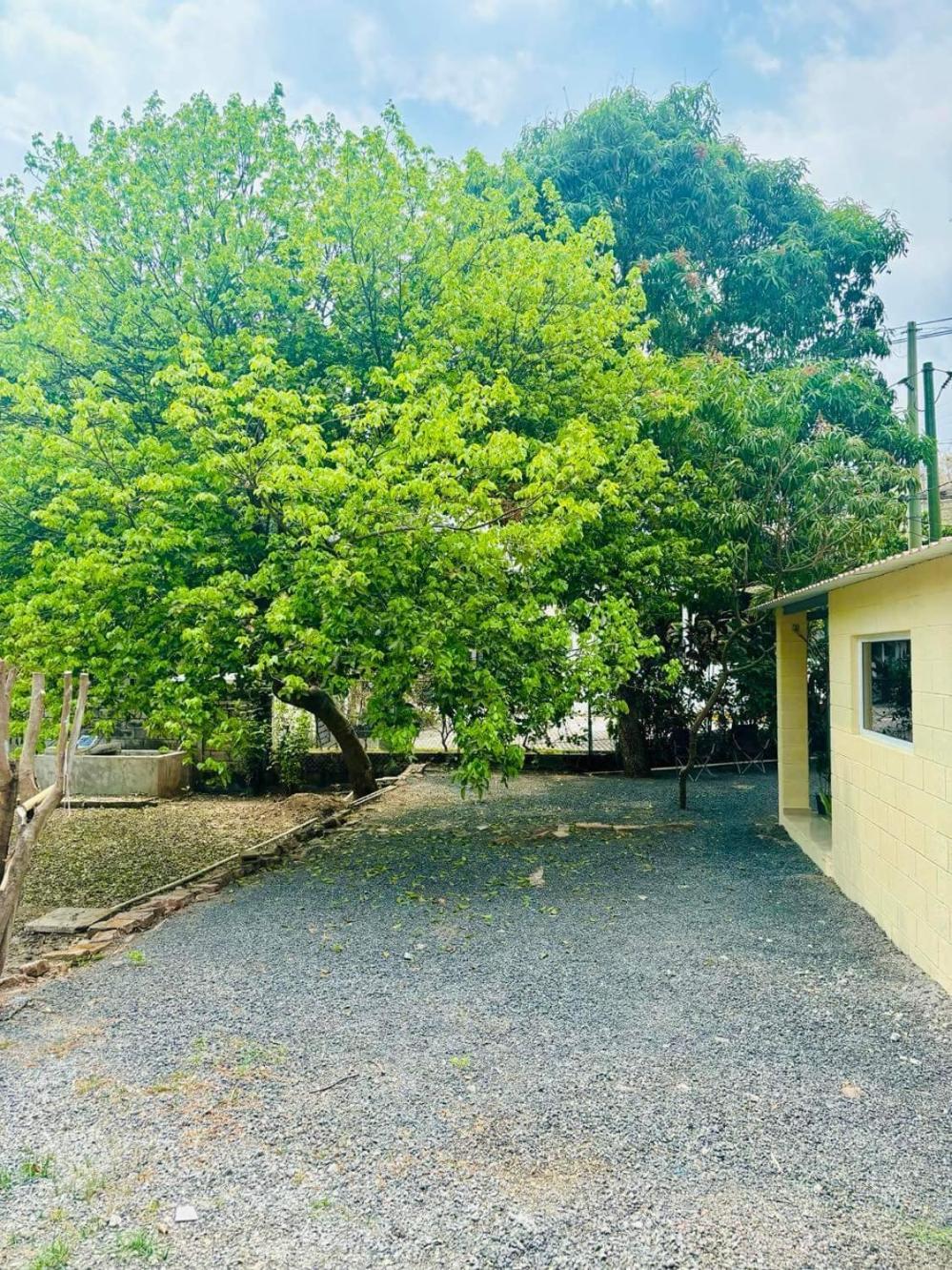 Hostal Camila'S Tamanique Exterior foto